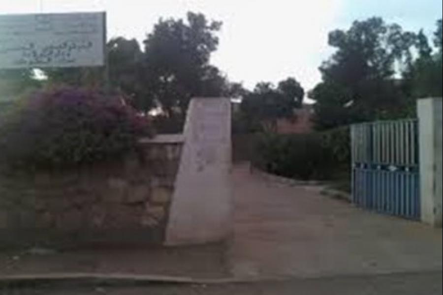2459.jpg