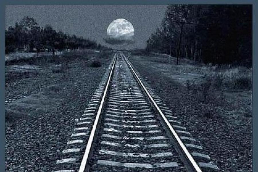 3358.jpg